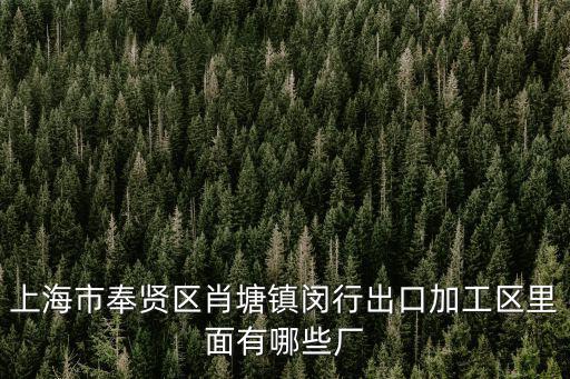 上海市奉賢區閔行出口加工區，上海市奉賢區肖塘鎮閔行出口加工區里面有哪些廠