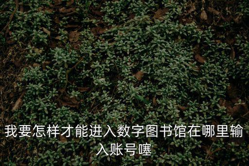 重慶市中小學(xué)數(shù)字圖數(shù)館登錄，中國數(shù)字大學(xué)城