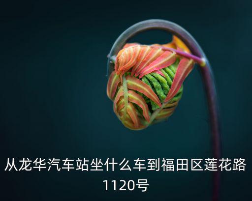 廣東省深圳市福田蓮花路1120號，廣東省深圳市蓮花北路1120號坐地鐵怎樣去