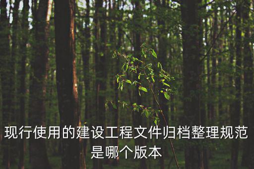現(xiàn)行使用的建設(shè)工程文件歸檔整理規(guī)范是哪個版本