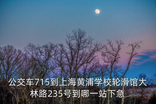 公交車715到上海黃浦學校輪滑館大林路235號到哪一站下急