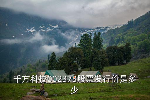 千方科技002373股票發行價是多少