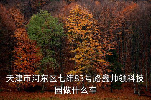 天津市河東區七緯83號路鑫帥領科技園做什么車
