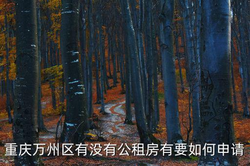 重慶萬州區(qū)有沒有公租房有要如何申請
