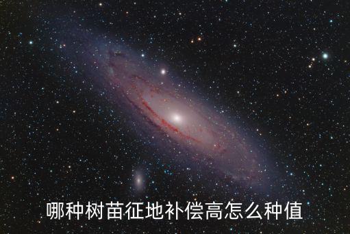 哪種樹苗征地補償高怎么種值