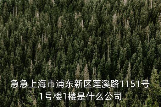 上海市滬正納米，上海市河南南路33號23樓a座是家什么公司