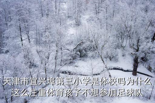 天津市宜興埠第三小學是體校嗎為什么這么注重體育孩子不想參加足球隊