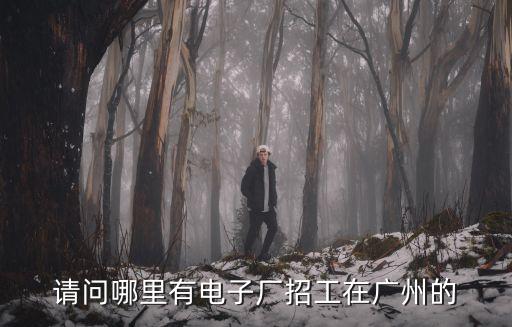 請問哪里有電子廠招工在廣州的