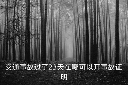 廣州補開交警事故證明，廣州市如何開具無重大交通事故責任記錄證明