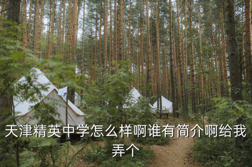 天津精英中學怎么樣啊誰有簡介啊給我弄個