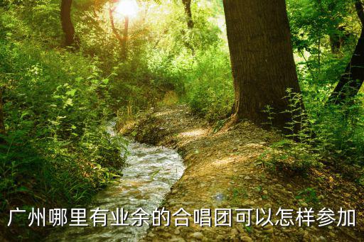 廣州哪里有業余的合唱團可以怎樣參加