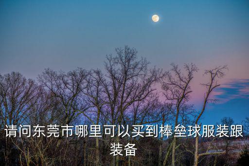 請(qǐng)問(wèn)東莞市哪里可以買(mǎi)到棒壘球服裝跟裝備