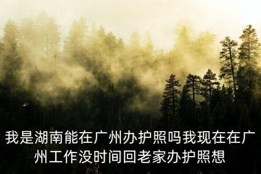 我是湖南能在廣州辦護(hù)照嗎我現(xiàn)在在廣州工作沒時(shí)間回老家辦護(hù)照想