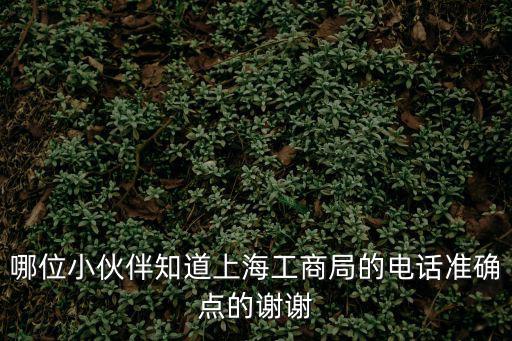 哪位小伙伴知道上海工商局的電話準確點的謝謝