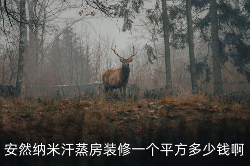 安然納米汗蒸房裝修一個平方多少錢啊