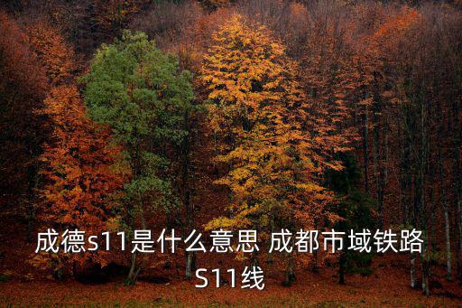 成德s11是什么意思 成都市域鐵路S11線
