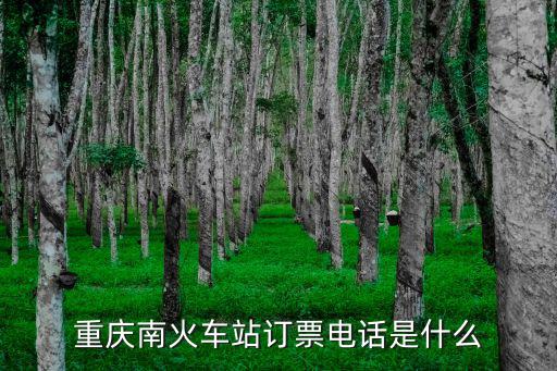 重慶南火車站訂票電話是什么