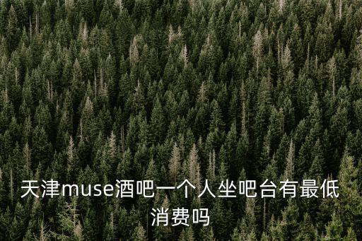 天津muse酒吧一個人坐吧臺有最低消費嗎