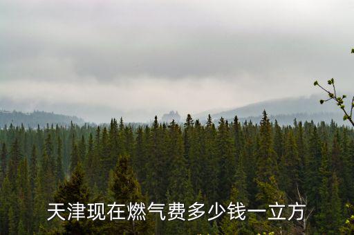 天津現在燃氣費多少錢一立方