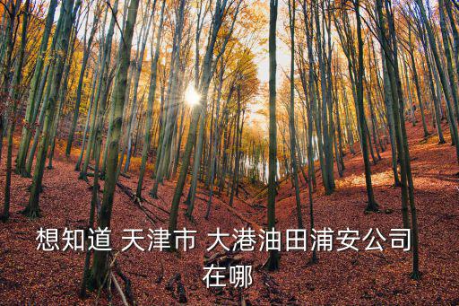 想知道 天津市 大港油田浦安公司 在哪