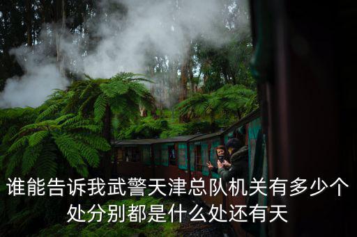 誰能告訴我武警天津總隊機關有多少個處分別都是什么處還有天