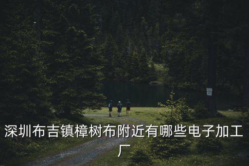 深圳布吉鎮樟樹布附近有哪些電子加工廠