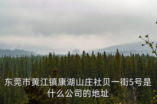 東莞市黃江鎮康湖山莊社貝一街5號是什么公司的地址