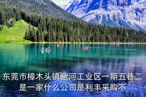 東莞市樟木頭鎮金河工業區一期五巷二是一家什么公司是利豐采購不