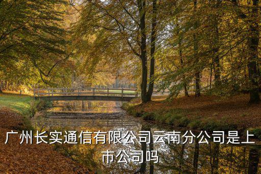 廣州長實通信有限公司云南分公司是上市公司嗎