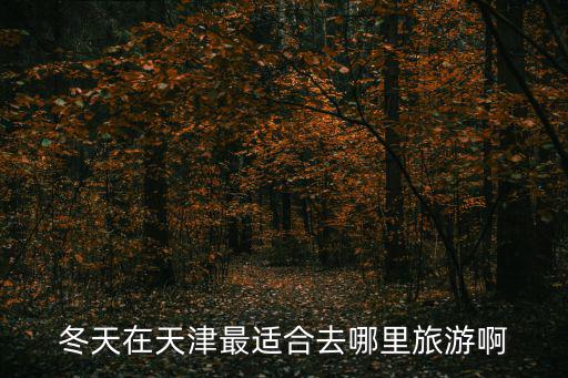 冬天天津市區哪里好玩的地方好玩嗎，冬天去天津值得看的地方