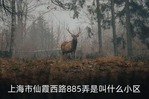 上海市仙霞西路885弄是叫什么小區