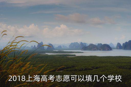 2018上海高考志愿可以填幾個(gè)學(xué)校