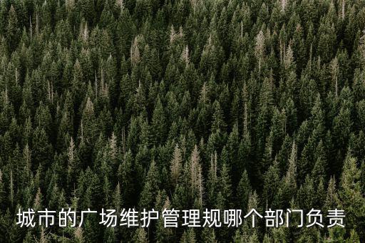 城市的廣場維護管理規哪個部門負責