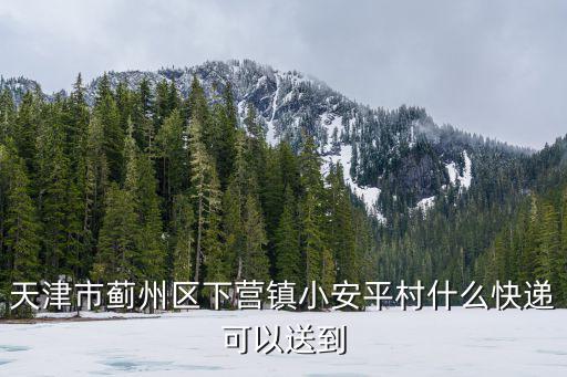 天津市薊州區下營鎮小安平村什么快遞可以送到