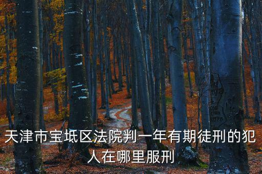 天津市寶坻區法院判一年有期徒刑的犯人在哪里服刑
