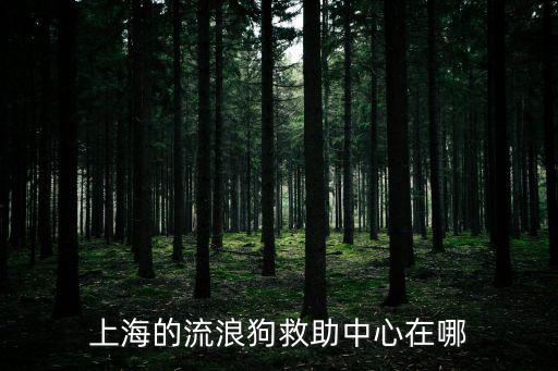 上海市動物救助中心在哪里，靜安區哪里有流浪狗貓寵物動物救助收容