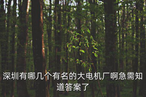 深圳有哪幾個有名的大電機廠啊急需知道答案了