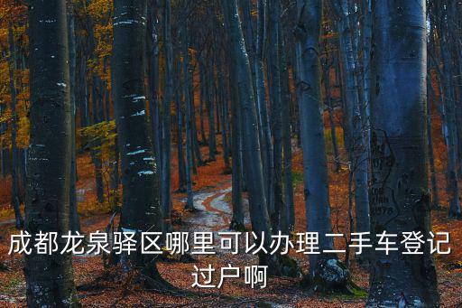 成都龍泉驛區哪里可以辦理二手車登記過戶啊