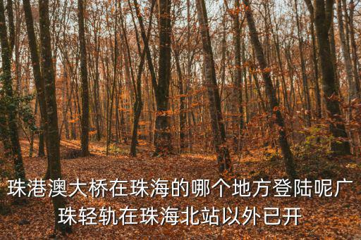 珠港澳大橋在珠海的哪個地方登陸呢廣珠輕軌在珠海北站以外已開