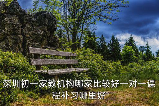 深圳夢力方教育，深圳初一家教機(jī)構(gòu)哪家比較好一對一課程補(bǔ)習(xí)哪里好