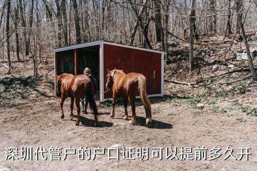 深圳 派出所代管戶，派出所代管戶口小孩如何上戶