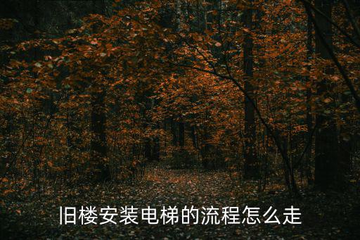 奧的斯成都市舊樓裝電梯圖，成都市有舊樓改造加裝雙電梯的嗎