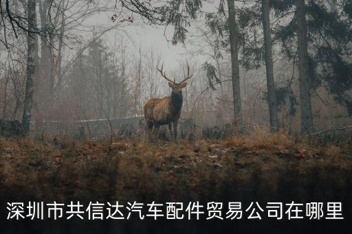 深圳市共信達(dá)汽車(chē)配件貿(mào)易公司在哪里