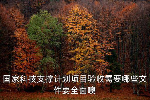 國(guó)家科技支撐計(jì)劃項(xiàng)目驗(yàn)收需要哪些文件要全面噢