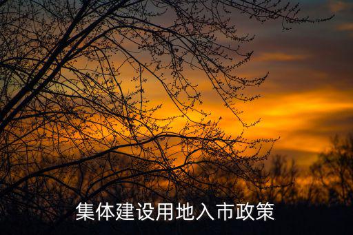 天津市集體土地入市政策，農(nóng)村集體土地入市政策