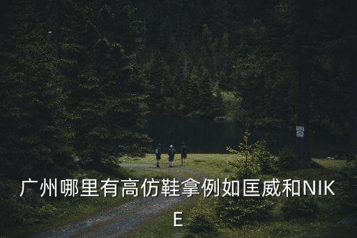 廣州超高仿鞋在哪，網(wǎng)友們你們誰去過廣州廣州專門批發(fā)高仿皮鞋的市場在哪里不是