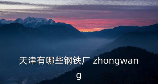 天津有哪些鋼鐵廠 zhongwang