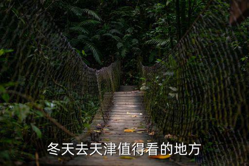冬天去天津值得看的地方
