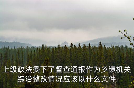 成都市巡察整改報告，整改報告開頭寫稱呼嗎