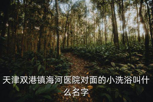 天津雙港鎮海河醫院對面的小洗浴叫什么名字